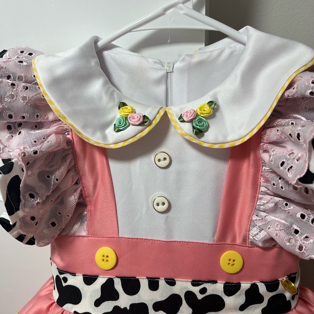 Handmade embroidery farm dress